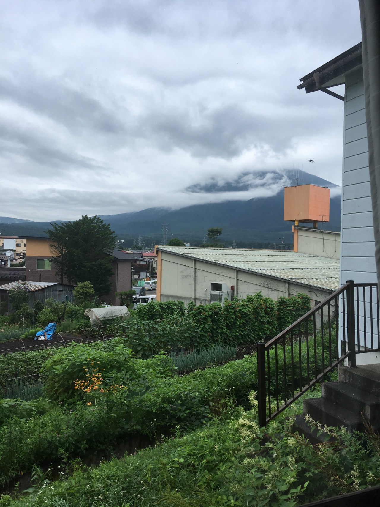 An Extended Overview of My Current&nbsp;Lifestyle