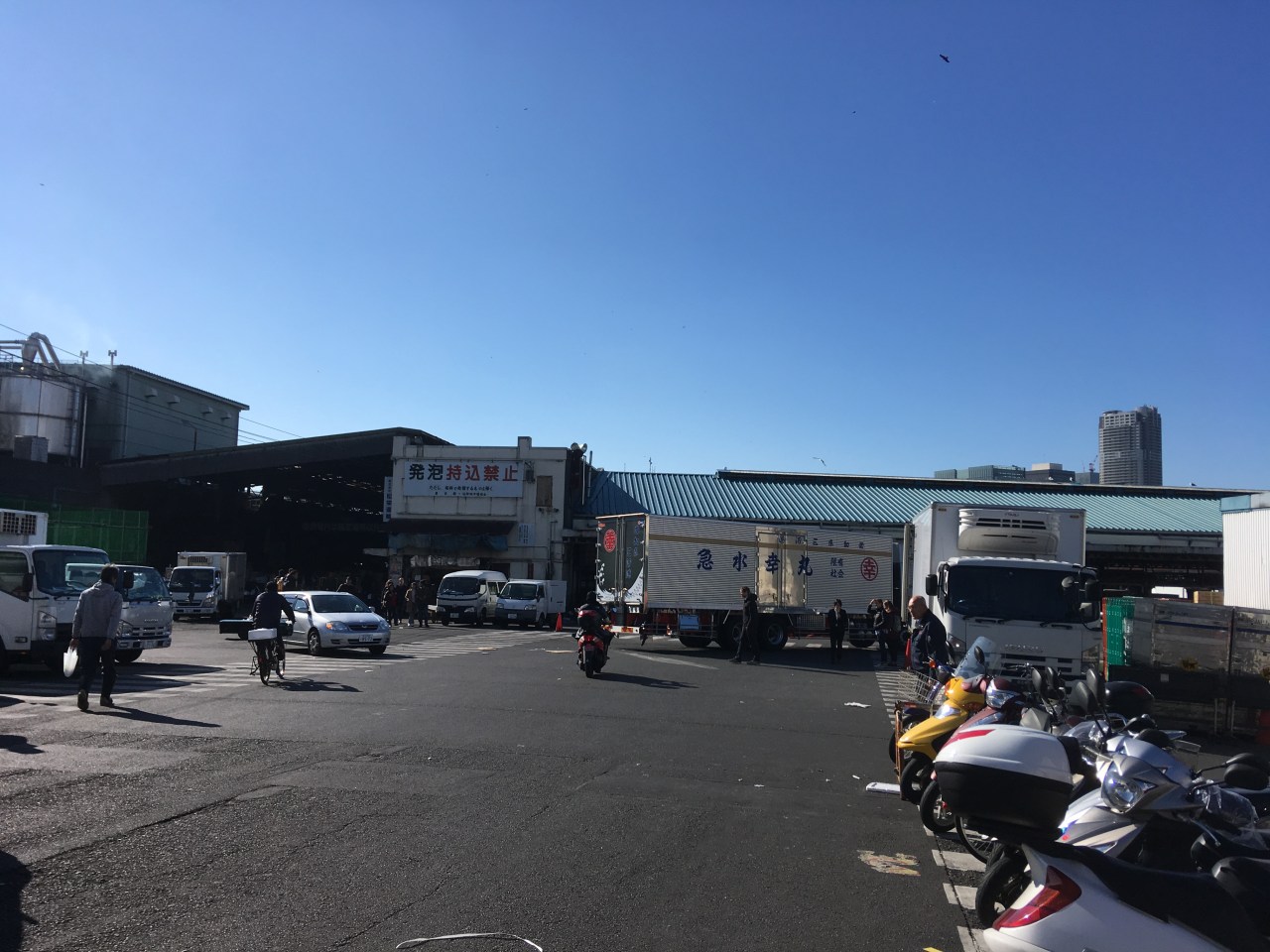 築地市場 — Tsukiji Fish&nbsp;Market