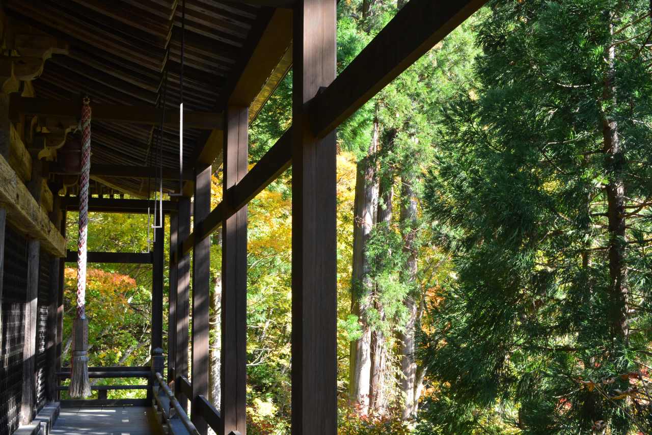御朱印第38号 — 小菅神社