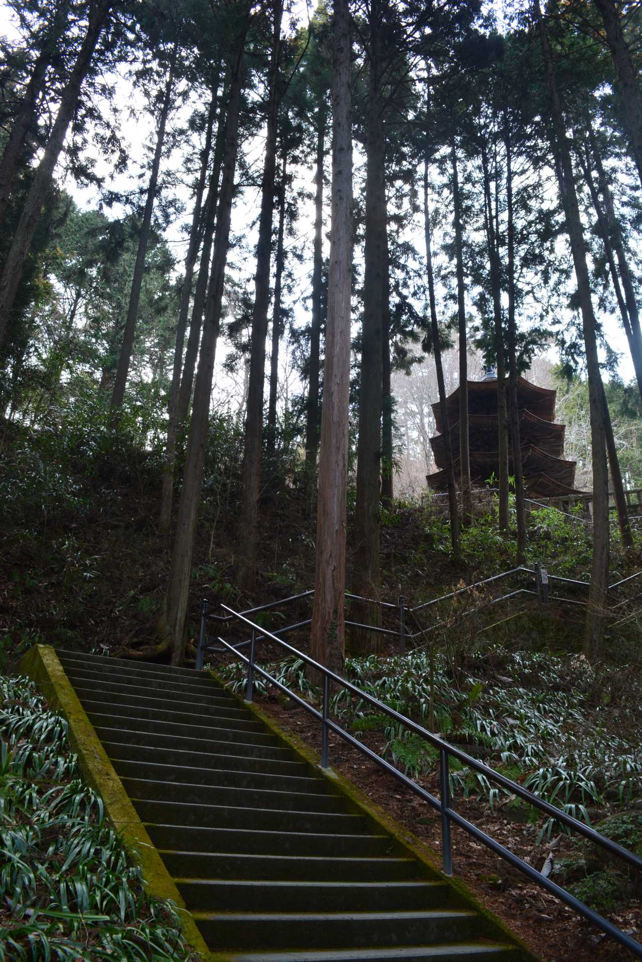 御朱印第45号 — 安楽寺