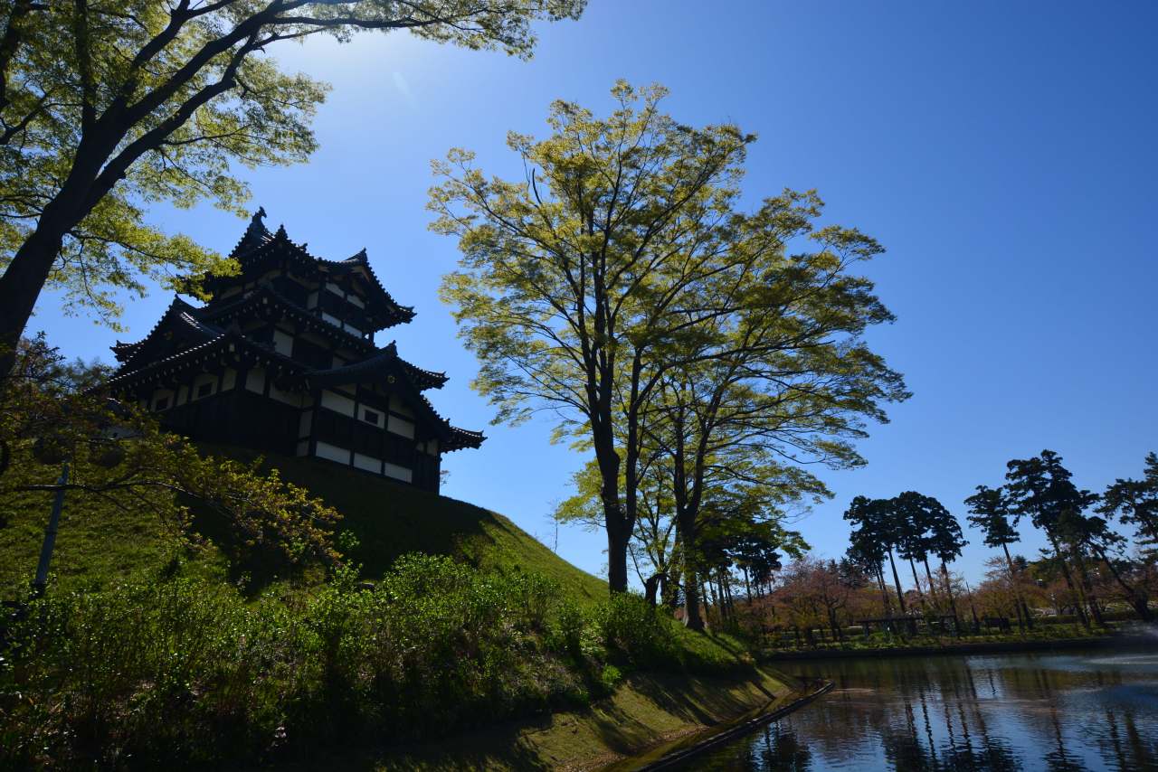 Takada Castle