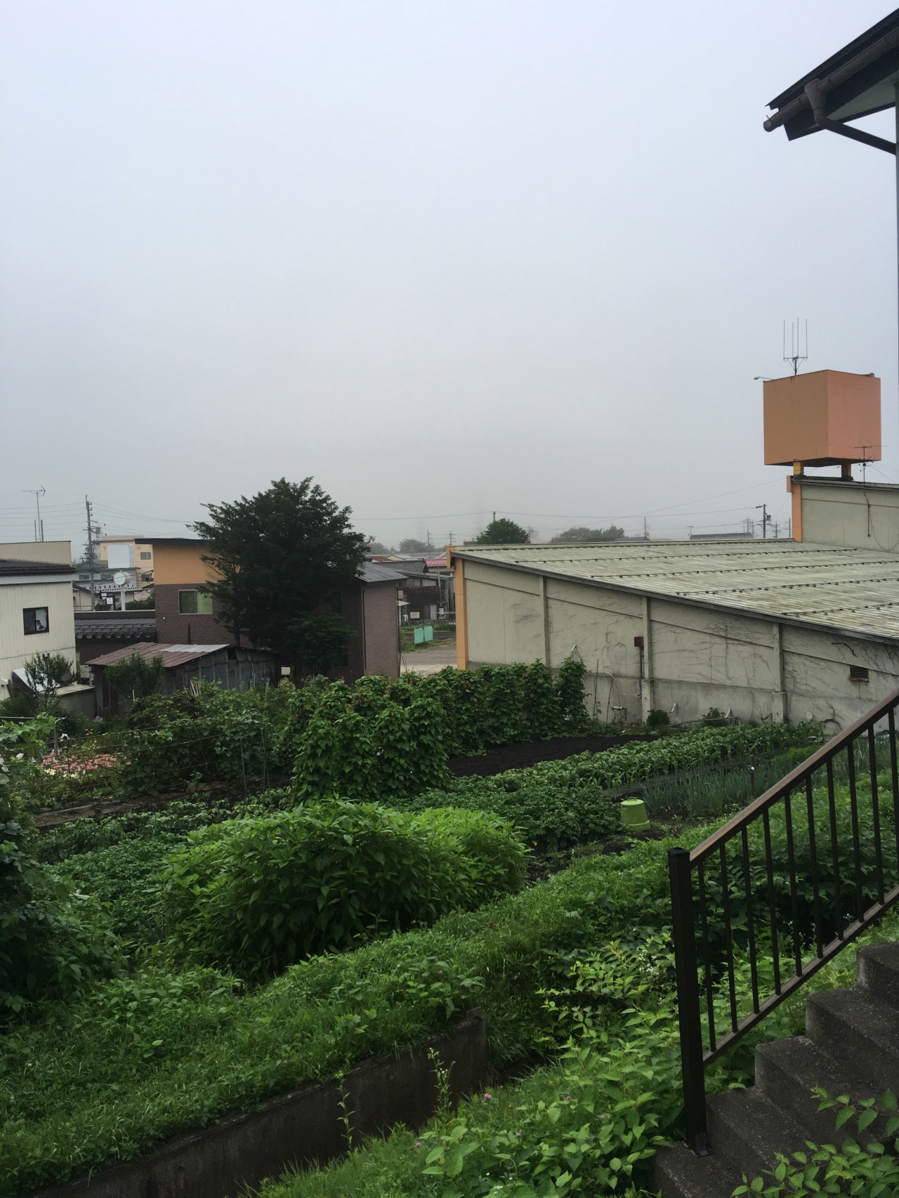 Rain, Rain, Go Away&nbsp;☔